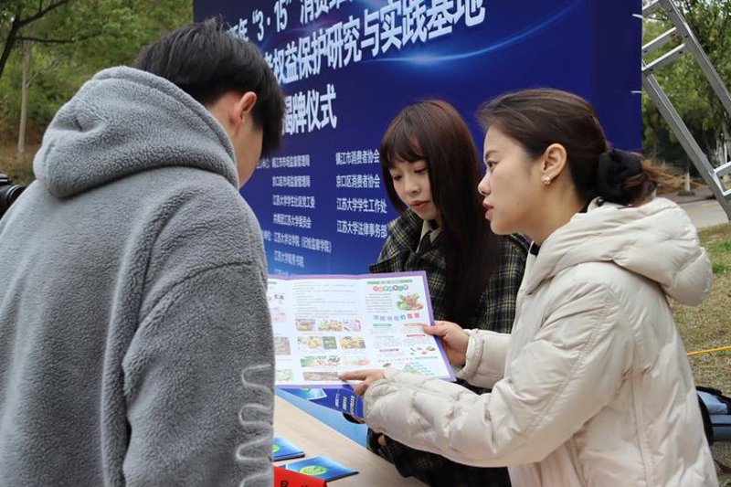 个人创业咨询：把握机会的关键指引
